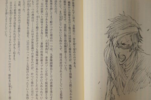 Japanese Anime Bleach Bleach Animation Art Characters Japan Ryogo Narita Tite Kubo Novel Bleach Can T Fear Your Own World 1 Zsco Iq