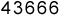 Website Traffic Counter
