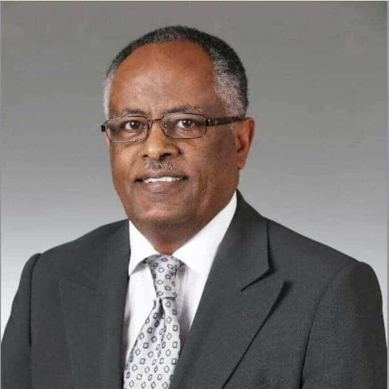 Ethiopia’s Politicized Peace Process is Pregnant with Violence