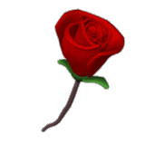 JellyMuffin.com - The place for profile layouts, flash generators, glitter graphics, backgrounds and codes