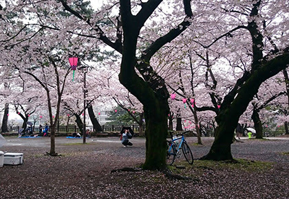 qスポット 小倉城 勝山公園 北九州でバーベキューするなら宅配 器材レンタルのテキパキビーフへ