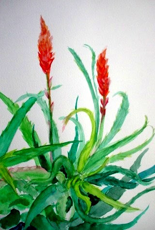 花の絵 水彩 イラスト画庫
