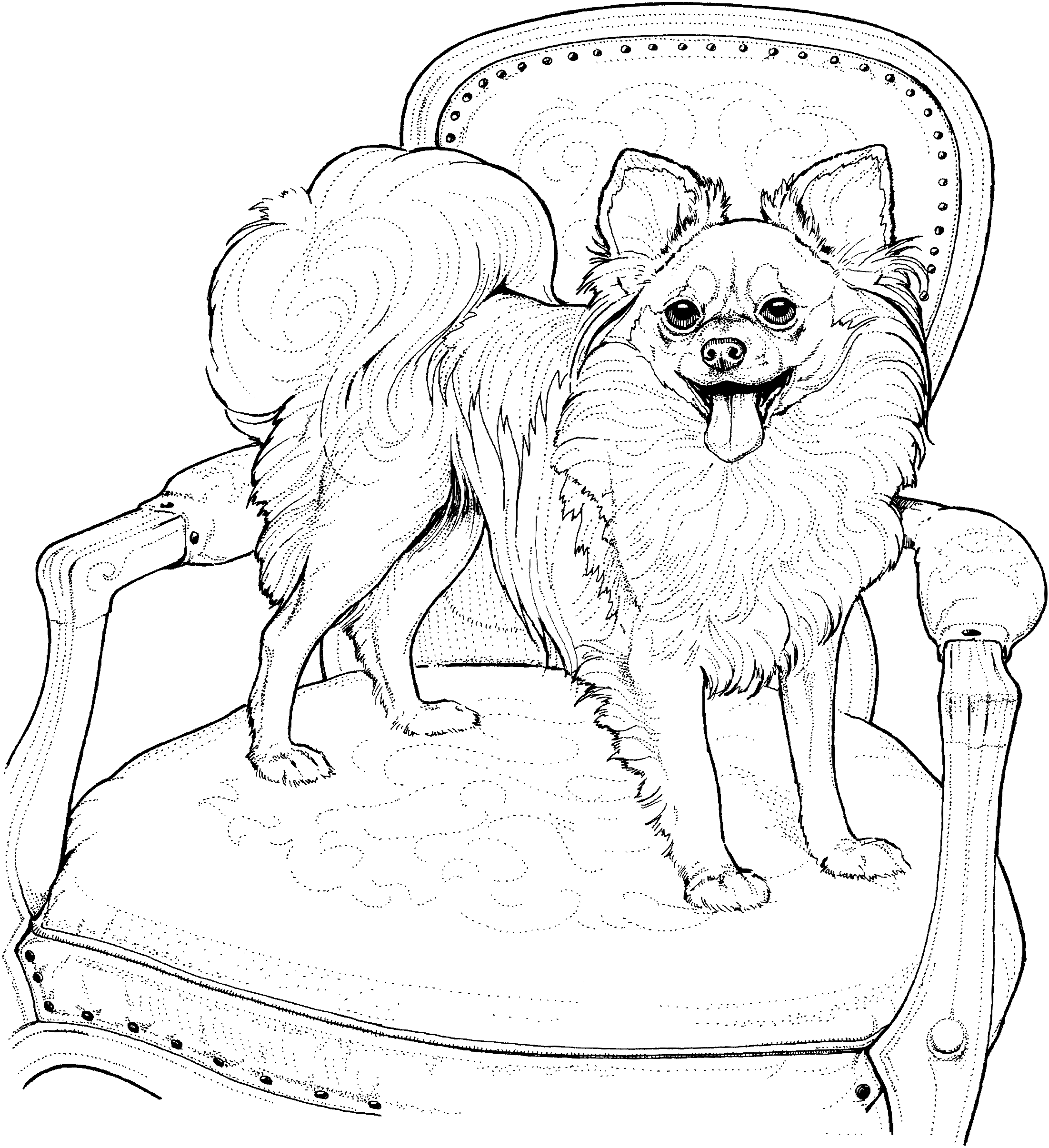 dog breed coloring pages