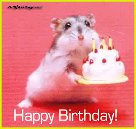 happy birthday images funny. HAPPY BIRTHDAY