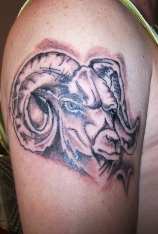 COBRA TATTOO - Fotoalbum - beran 1