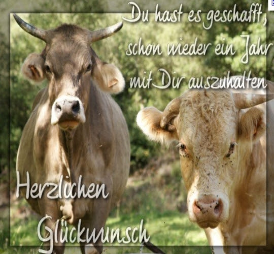 alles gutes zum geburtstag wünsche