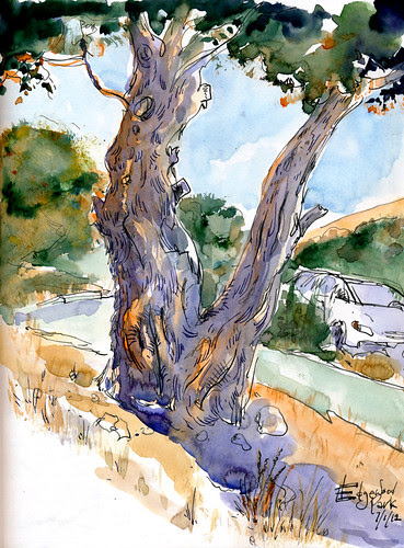 July 2012: Edgewood Park by apple-pine