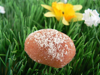 oeuf biscuit de Reims.jpg