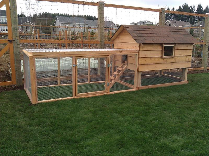 Detail Medium chicken coop plans ~ Plan for build chicken coop
