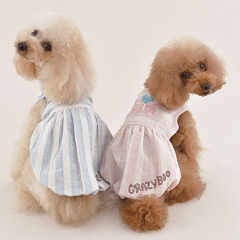 犬の服 バルーン チュニック ワンピース ピンク Crazy Boo クレイジーブー
