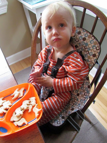 booster seat boy