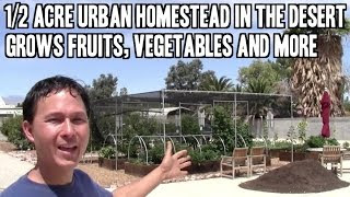 What is Aquaponics? How it Works &amp; Why an Aquaponic Setup ...