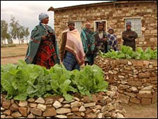 Family tend their keyhole garden in Lesotho's central highlands