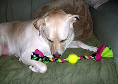 Zeus_rope_9809b