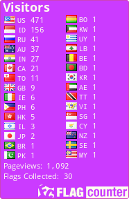 Flag Counter