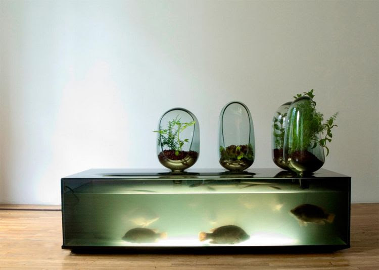 Aquaponics modern design Urban Farming Is the Future of Agriculture