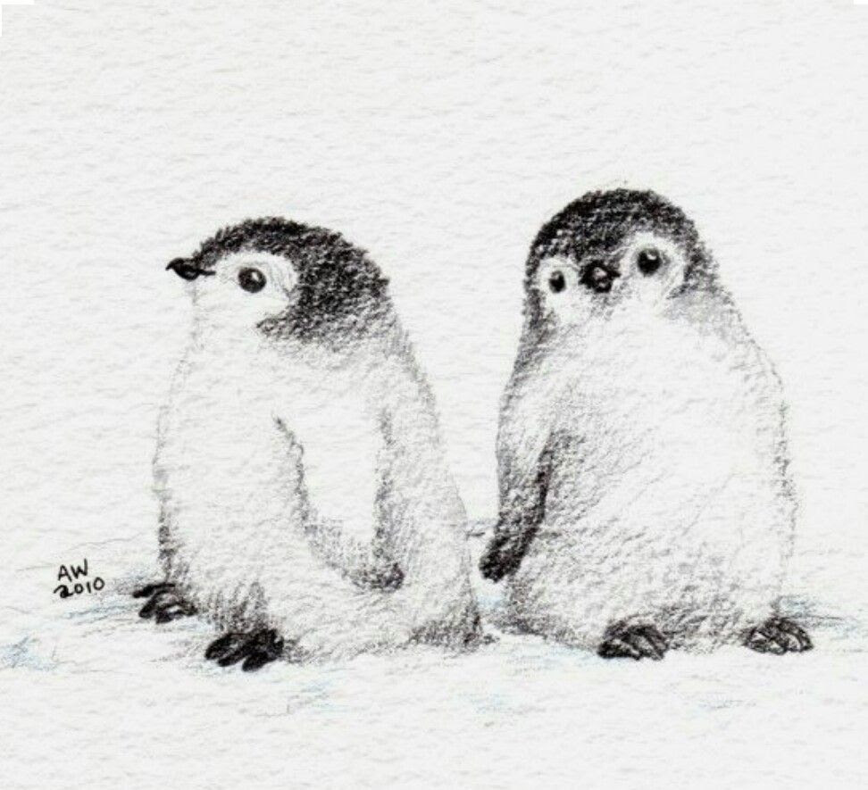 100以上 リアル ペンギン 赤ちゃん イラスト たつく