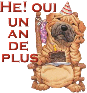 Funny Animated Gif Gif Anime Drole Anniversaire