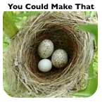 Your Blog Title Here