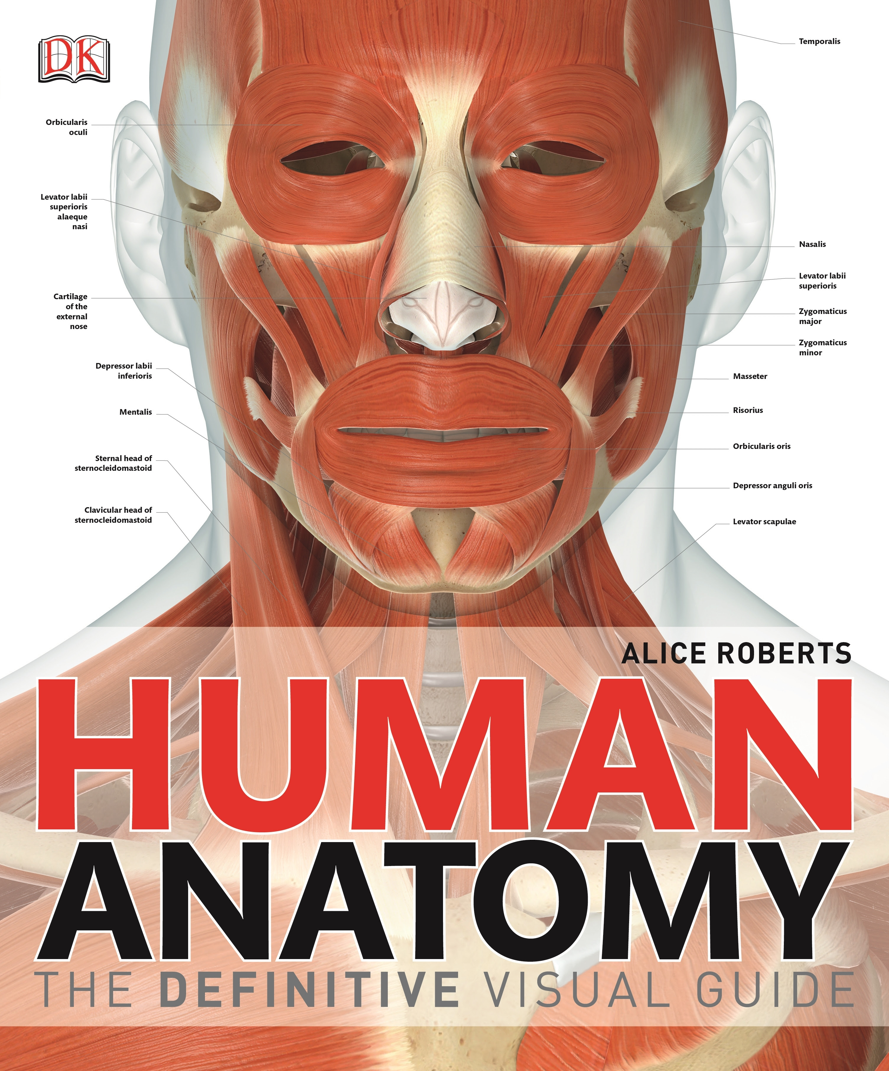 Human Body A Visual Guide To Human Anatomy