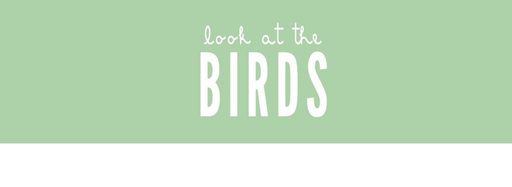 look at the birds...