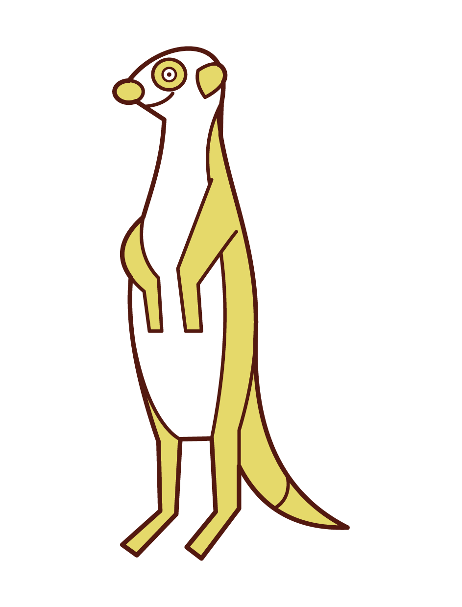 ミーアキャットのイラスト フリーイラスト素材 Kukukeke ククケケ