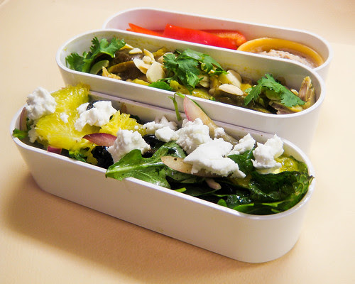 12-15-10 Braised Chicken w- Dates Bento