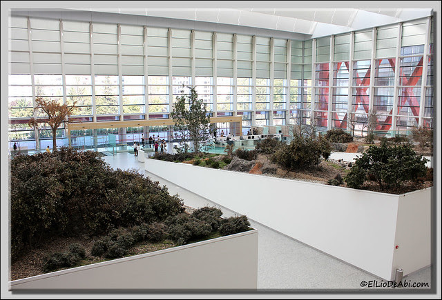 Museo Evolución Humana 38