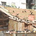 Clean Up Bandra Bazar Market