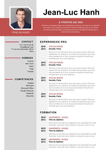 exemple de cv professionnel