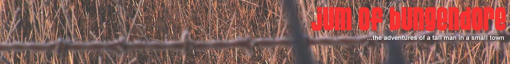 Frozen Grass Blog 1