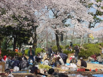 野毛山公園