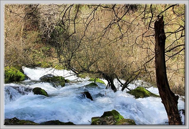 5 Nacimiento del río Cadagua