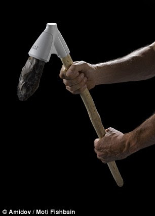 Shown here is an adze, a tool probably used for woodworking in a chopping-pulling motion
