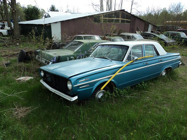 DSC00765 (Medium)
