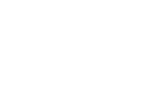 レースハート レース素材専門サイト Da Lace ダ レース