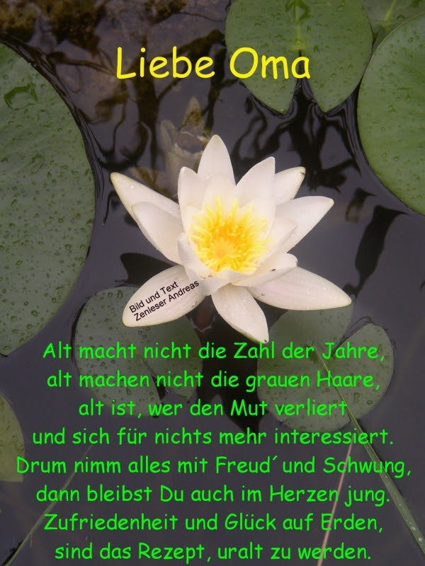 glückwünsche geburtstag alten menschen