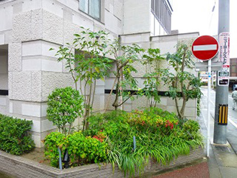 福岡市中央区 マンション植栽管理 マンション アパート コーポの植栽管理相談所 福岡市周辺 マンション アパート コーポの植栽管理相談所 福岡市周辺