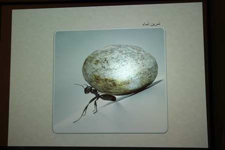 تقرير برنامج الشخصيات بيئة العمل