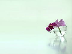 alone today (deviantART)