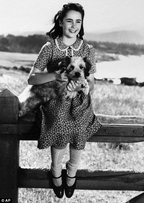 national velvet