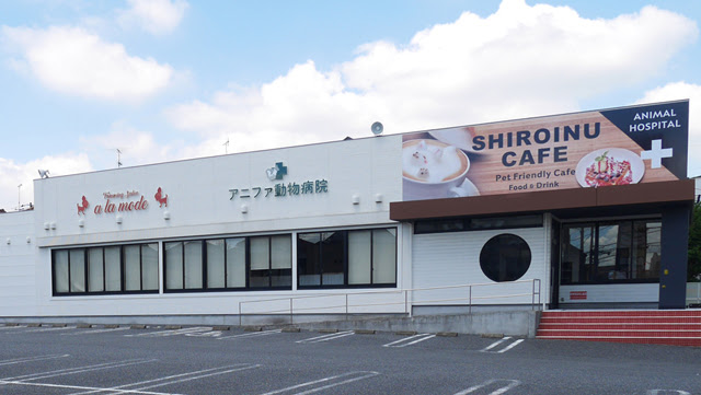 Shiroinu Cafe 千葉 関東 Wankoドッグカフェ