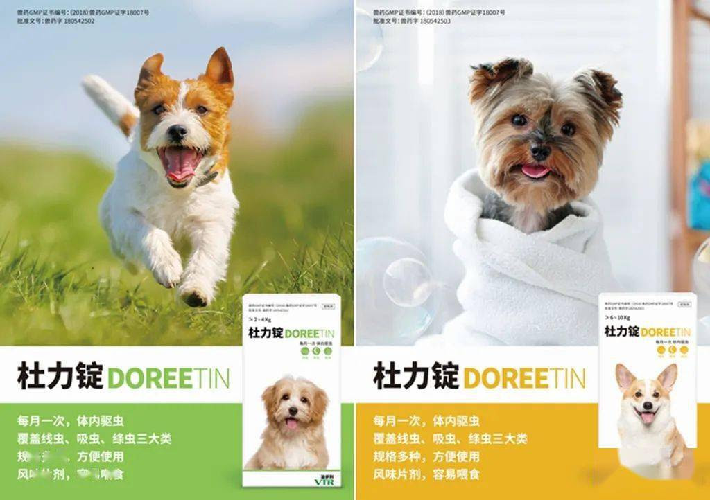 狗狗拉血便，除了细小，还有这些_脱水