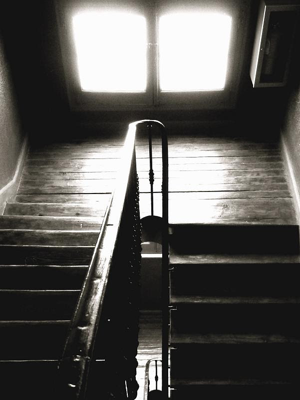 The Fifth Floor V