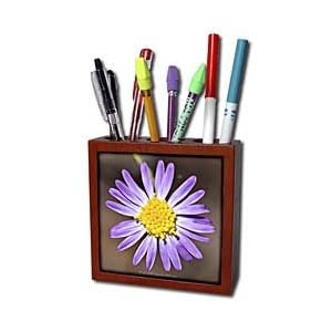 Lee Hiller Photography Hot Springs National Park Wildflowers - Purple Aster Wildflower on North Mountain II - Tile Pen Holders-5 inch tile pen holder