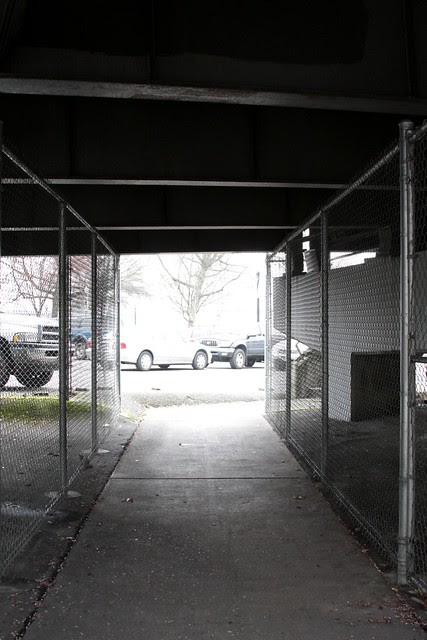 chain link passage, morrison bridge