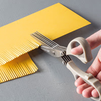 Fringe Scissors