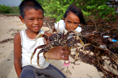 Grab a Crab
