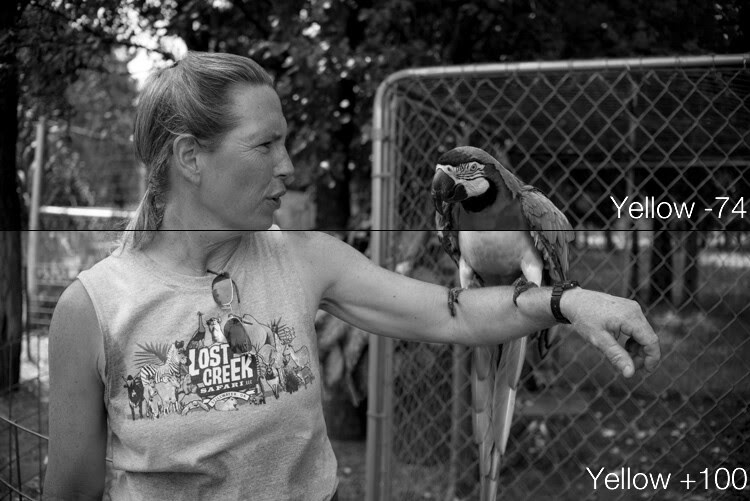lightroom-adjustments-panel-macaw-bw-yellow