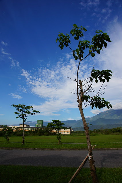 DSC07003